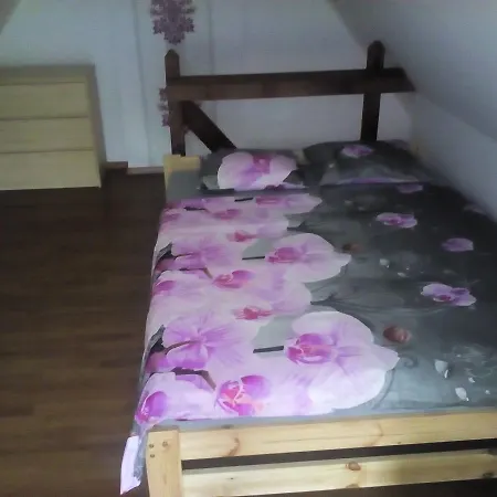 Lodge Dacza - Cichy Zakatek *